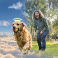 Load image into Gallery viewer, Our Angel in the Outfield ad